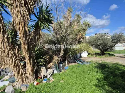 Residential 600m<sup>2</sup> for sale photo 4