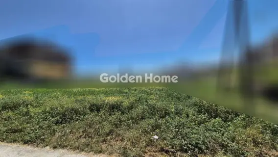 住宅 1200m<sup>2</sup> for rent photo 5393144