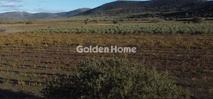 Golden Home Property Image