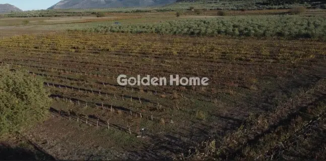 Golden Home Property Image