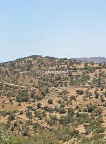 Αγροτεμάχιο 11400τ.μ. προς πώληση φωτογραφία 5332438