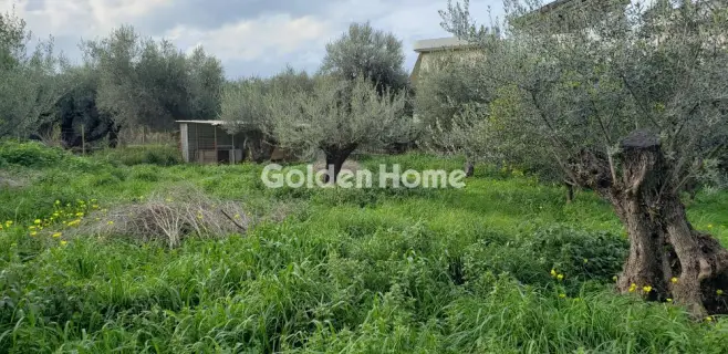 Golden Home Property Image