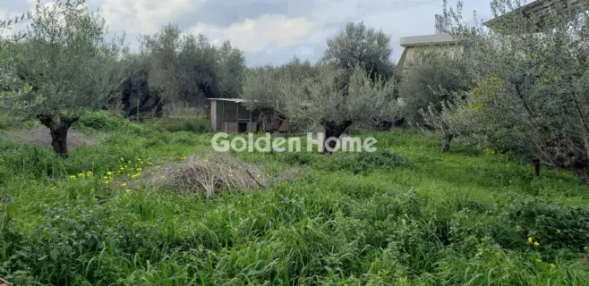 Golden Home Property Image