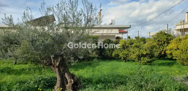 Golden Home Property Image
