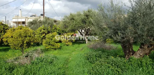 Golden Home Property Image