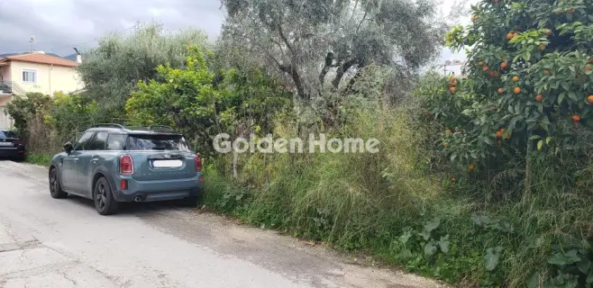 Golden Home Property Image