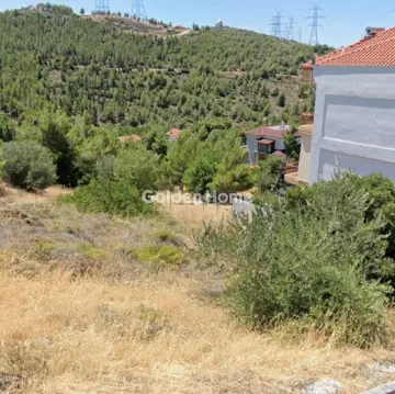 住宅 445m<sup>2</sup> for sale photo 5365583