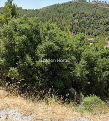 住宅 445m<sup>2</sup> for sale photo 5365583