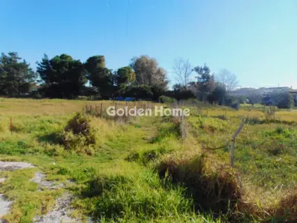 Professional Plot 750m<sup>2</sup> for sale photo 16