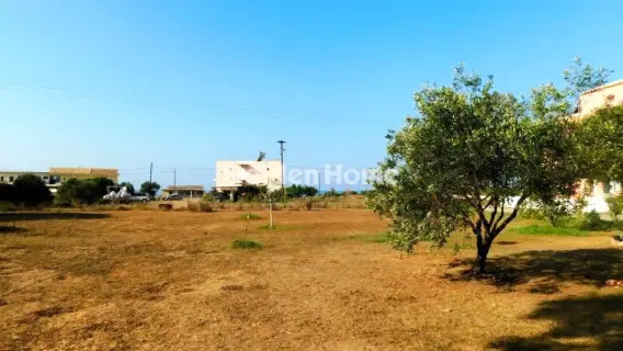 Professional Plot 750m<sup>2</sup> for sale photo 8