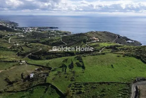 Area 18500m<sup>2</sup> for sale photo 5532709