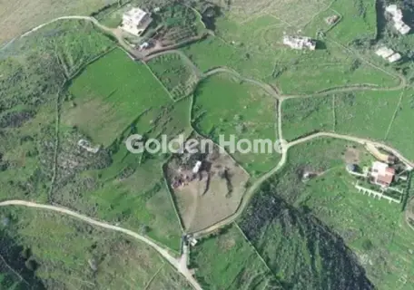 Area 18500m<sup>2</sup> for sale photo 5532713