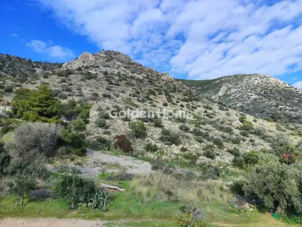 Μονοκατοικία 240τ.μ. προς πώληση φωτογραφία 83