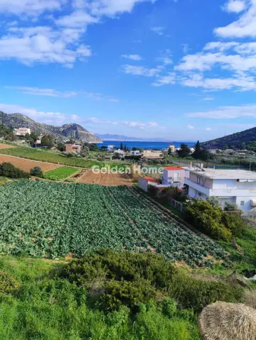 Μονοκατοικία 240τ.μ. προς πώληση φωτογραφία 1
