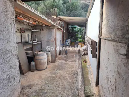 Residence complex 390m<sup>2</sup> for sale photo 8