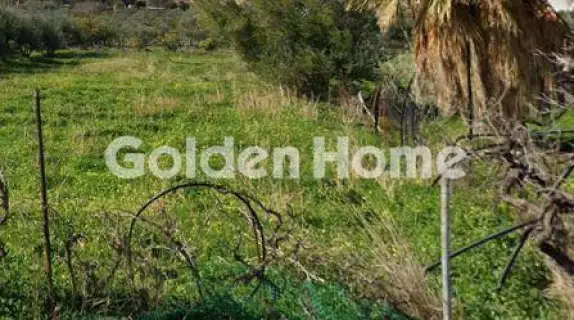 Οικιστικό 760τ.μ. προς πώληση φωτογραφία 5340747