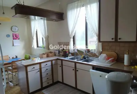 Διαμέρισμα 310τ.μ. προς πώληση φωτογραφία 2
