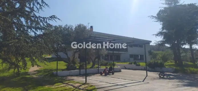 Golden Home Property Image