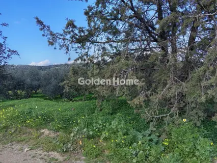 Residential 4000m<sup>2</sup> for sale photo 2