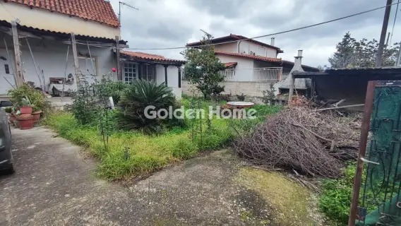 Golden Home Property Image