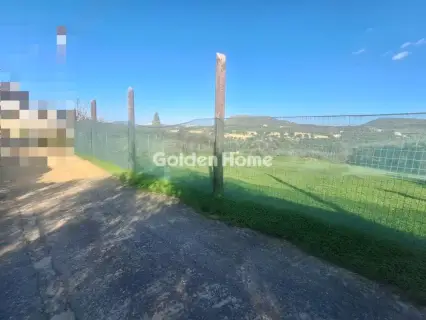 Αγροτεμάχιο 1100τ.μ. προς πώληση φωτογραφία 3