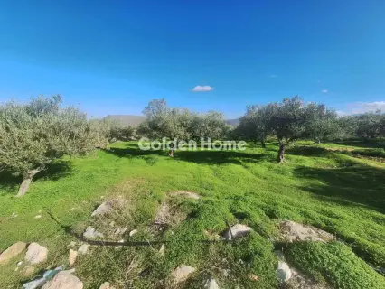 Αγροτεμάχιο 2700τ.μ. προς πώληση φωτογραφία 5332139