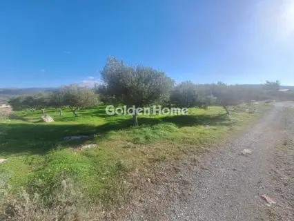 Αγροτεμάχιο 2700τ.μ. προς πώληση φωτογραφία 5332139