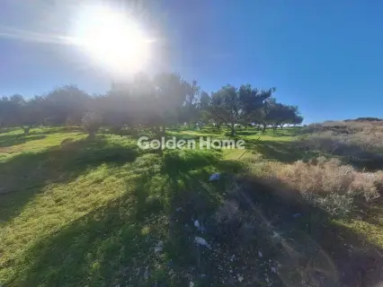 Αγροτεμάχιο 2700τ.μ. προς πώληση φωτογραφία 5332139