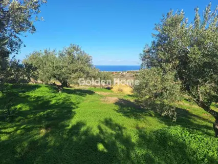 Αγροτεμάχιο 2700τ.μ. προς πώληση φωτογραφία 5332140