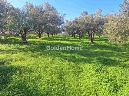 Αγροτεμάχιο 2700τ.μ. προς πώληση φωτογραφία 5332140