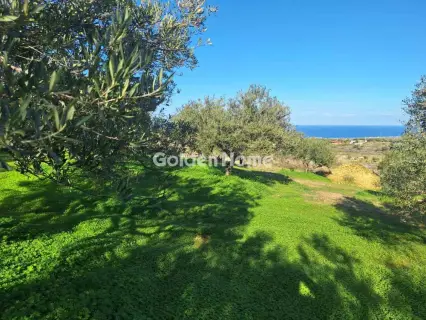 Αγροτεμάχιο 2700τ.μ. προς πώληση φωτογραφία 5332140