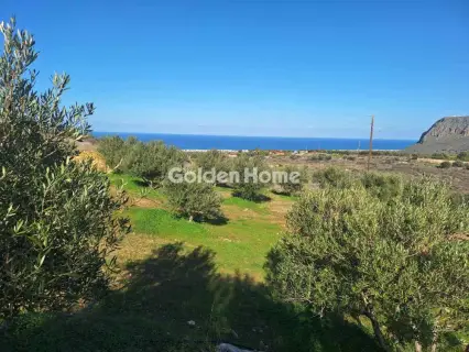 Αγροτεμάχιο 2700τ.μ. προς πώληση φωτογραφία 5332141