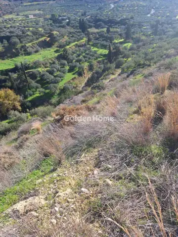 Οικιστικό 4785τ.μ. προς πώληση φωτογραφία 1