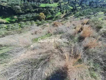 Οικιστικό 4785τ.μ. προς πώληση φωτογραφία 2