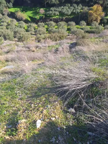 Οικιστικό 4785τ.μ. προς πώληση φωτογραφία 4