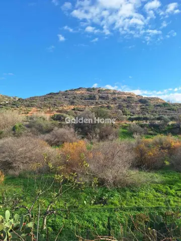 Οικιστικό 13633τ.μ. προς πώληση φωτογραφία 5374738