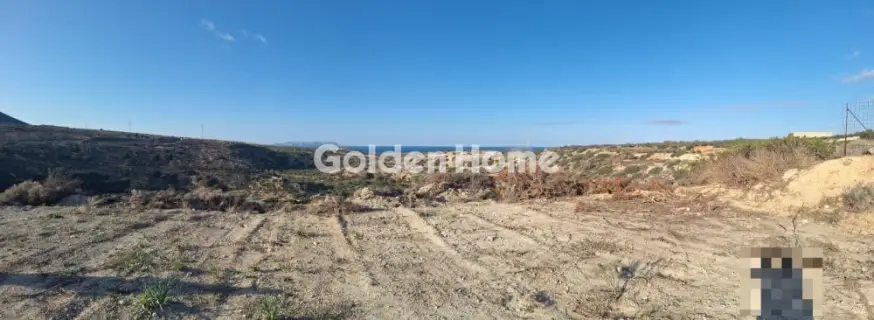 Οικιστικό 13633τ.μ. προς πώληση φωτογραφία 5374762