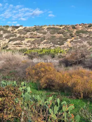 Αγροτεμάχιο 1657τ.μ. προς πώληση φωτογραφία 5340830