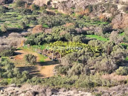 Αγροτεμάχιο 1657τ.μ. προς πώληση φωτογραφία 5340830