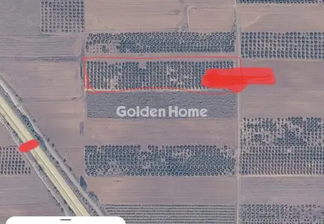 Αγροτεμάχιο 13250τ.μ. προς πώληση φωτογραφία 5406689