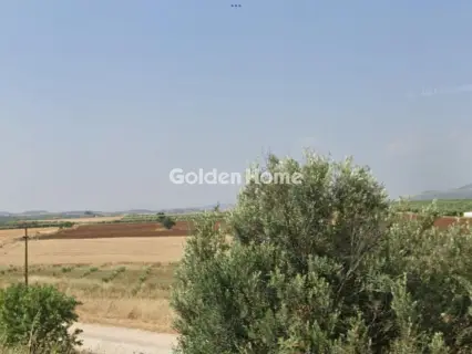 Αγροτεμάχιο 13250τ.μ. προς πώληση φωτογραφία 5406691