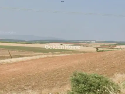 Αγροτεμάχιο 13250τ.μ. προς πώληση φωτογραφία 5406692