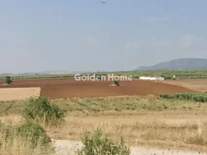 Αγροτεμάχιο 13250τ.μ. προς πώληση φωτογραφία 5406694