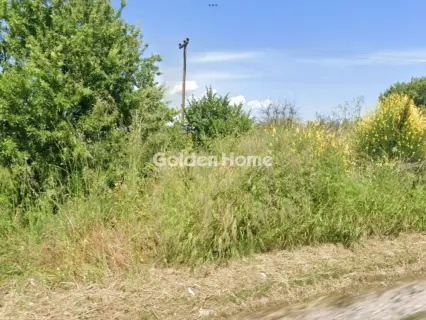 Αγροτεμάχιο 13250τ.μ. προς πώληση φωτογραφία 5406696