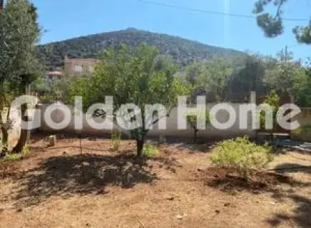 Μονοκατοικία 100τ.μ. προς πώληση φωτογραφία 12