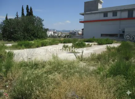 Residential 2950m<sup>2</sup> for rent photo 3