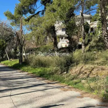 住宅 800m<sup>2</sup> for sale photo 1