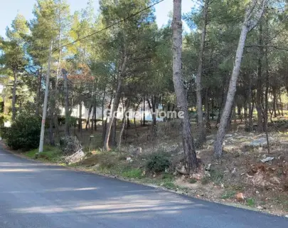 Residential 800m<sup>2</sup> for sale photo 2
