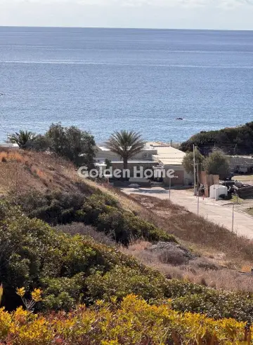 Αγροτεμάχιο 4025τ.μ. προς πώληση φωτογραφία 4