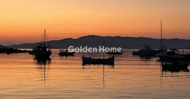 Αγροτεμάχιο 4025τ.μ. προς πώληση φωτογραφία 5229951